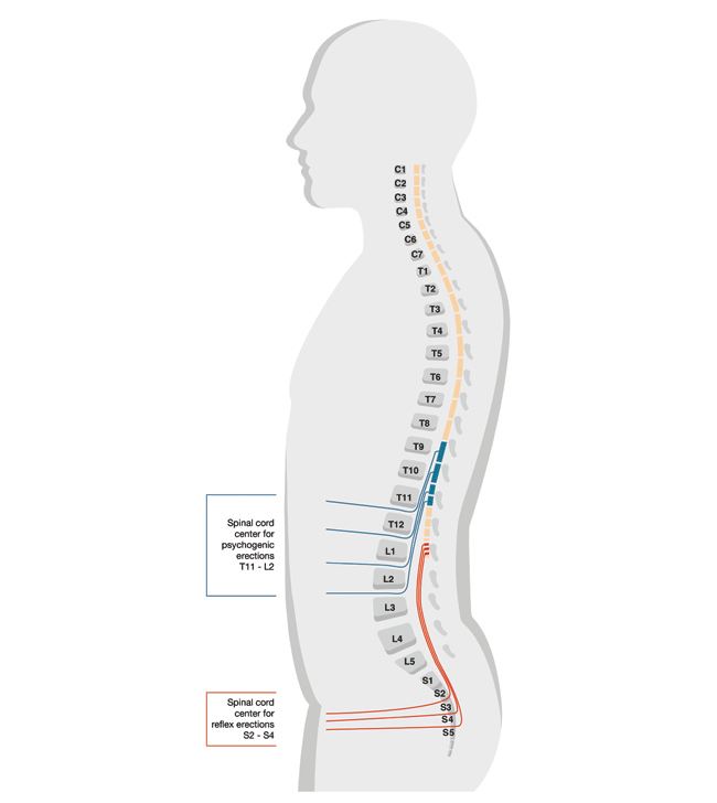 Can Spinal Cord Injuries Affect the Brain? - Total Community Care