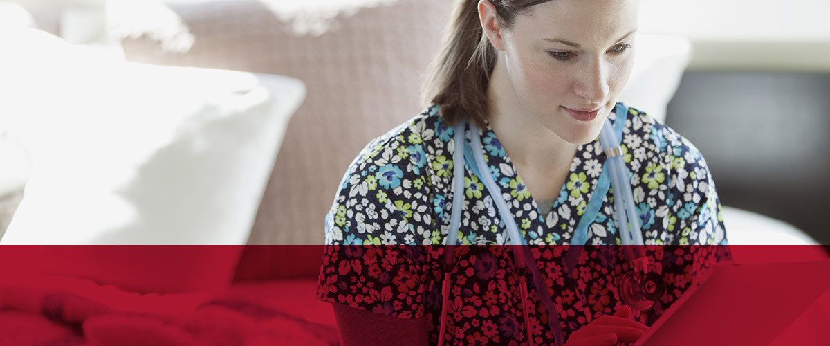 Hollister Education Hollister US