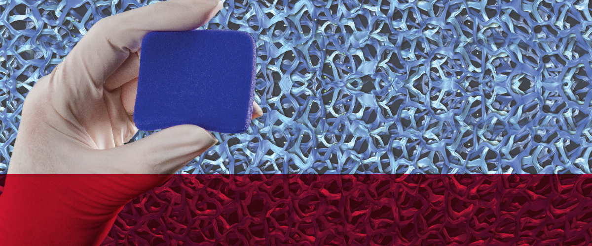 HWC-1383 HFB Transfer Splash Page Image_F2