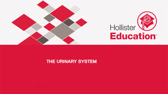 The-Urinary-System-eLearning