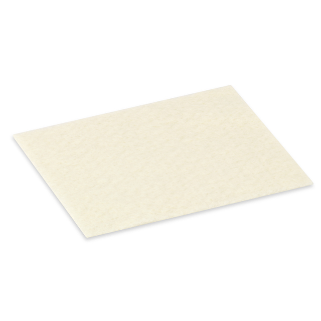Hollister Incorporated CalciCare Calcium Alginate Dressing 529937r