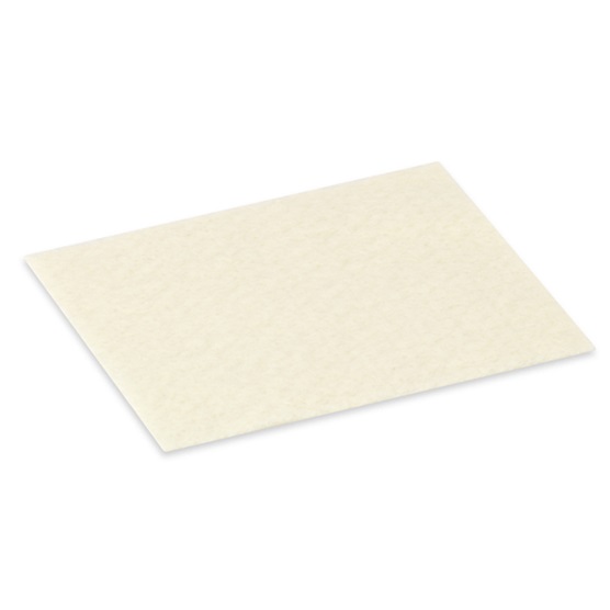 Hollister Incorporated CalciCare Calcium Alginate Dressing 529937r
