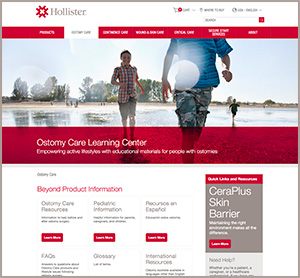 Hollister us website store